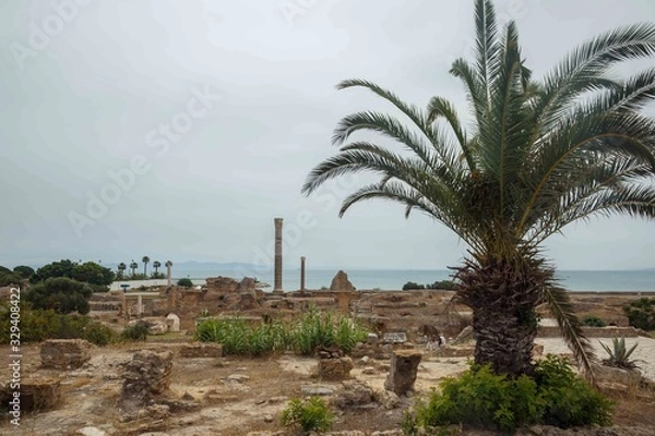 Fototapeta Date palm at the background of Ruins of Anthonia thermos, Baths of Antoninus, archaeological site of Carthage, Tuinisia