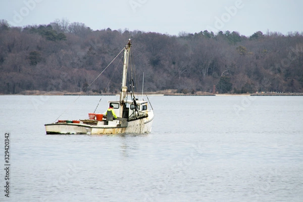 Fototapeta a commercial oyster boat dredging for oysters in the chesapeake bay.