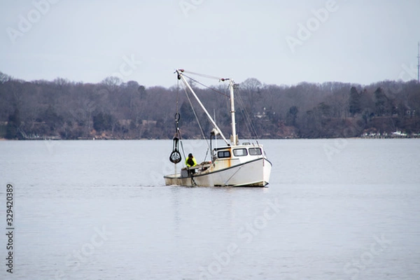 Fototapeta a commercial oyster boat dredging for oysters in the chesapeake bay.