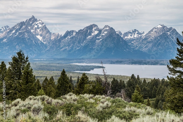 Obraz grand tetons and lake