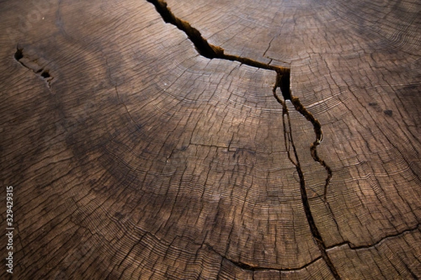 Obraz cracked wood texture