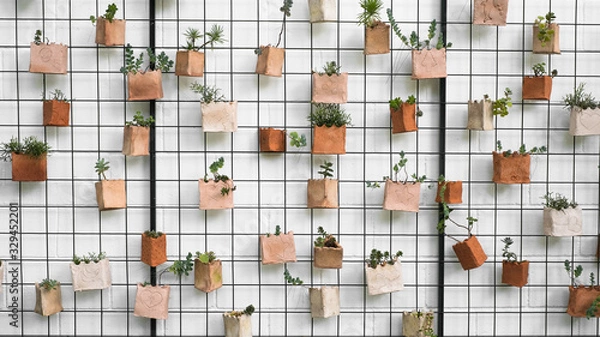 Obraz plants and wall