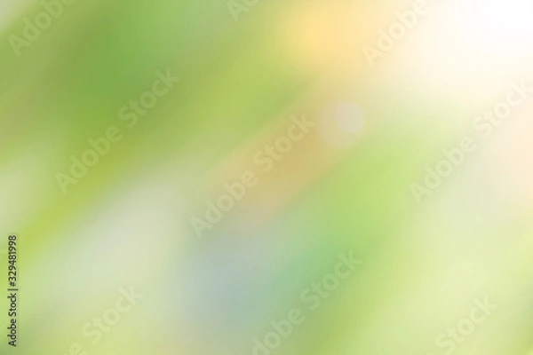 Fototapeta soft motion blur bokeh plant in a garden