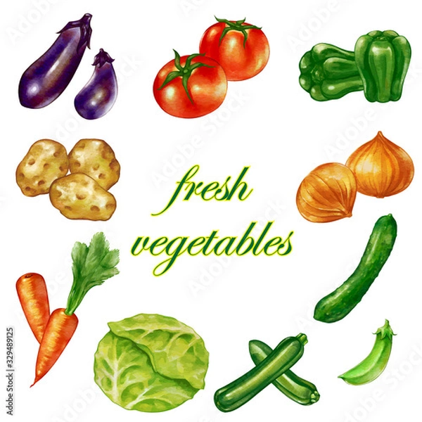 Obraz 水彩風の複数の新鮮な野菜　盛り沢山　セット
