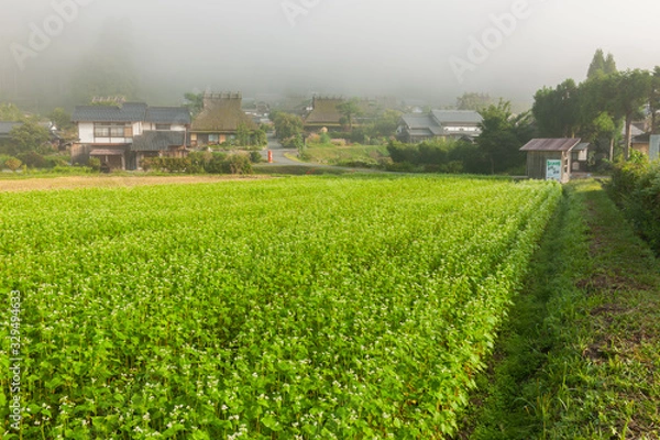 Fototapeta 茅葺集落