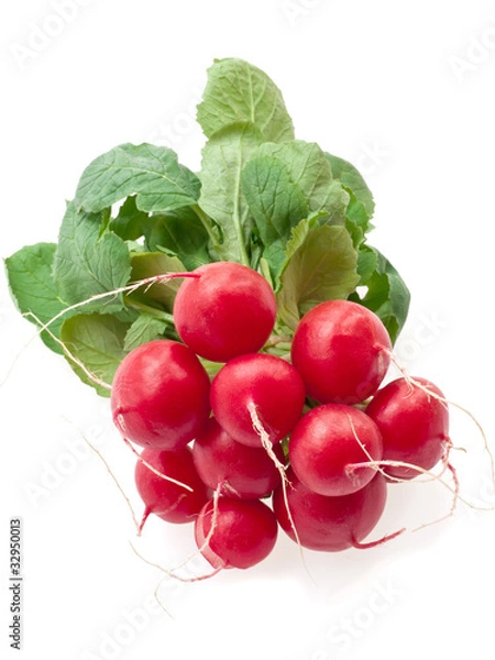 Obraz radishes