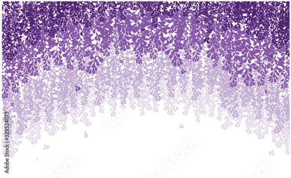 Obraz vector wisteria beautiful violet flower 