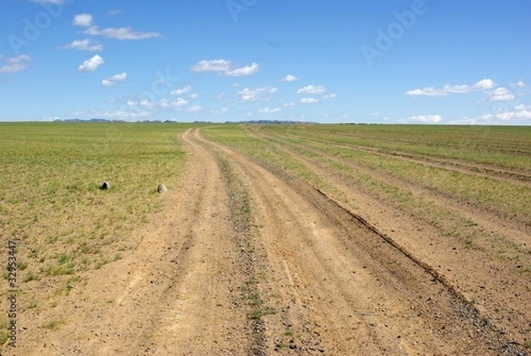 Obraz Tory mongolskie