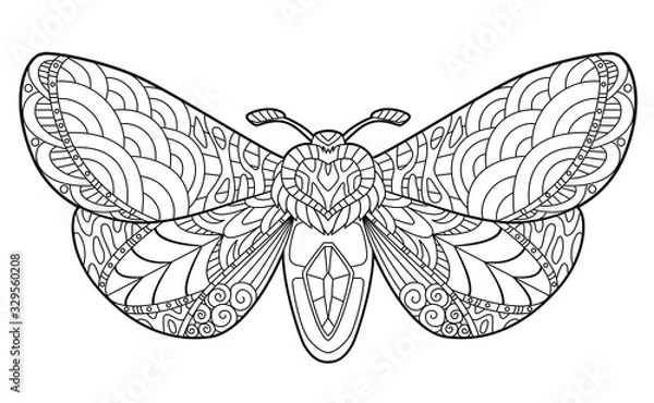 Fototapeta Butterfly coloring page for children and adults. Beautiful drawings with patterns and small details. Hand drawing vector illustration in black outline on a white background