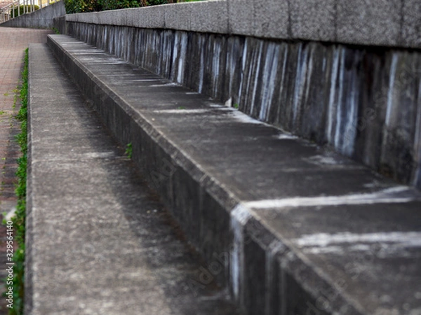 Fototapeta 川沿いの堤防