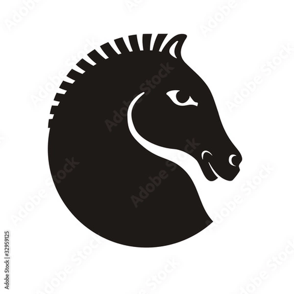 Fototapeta horse