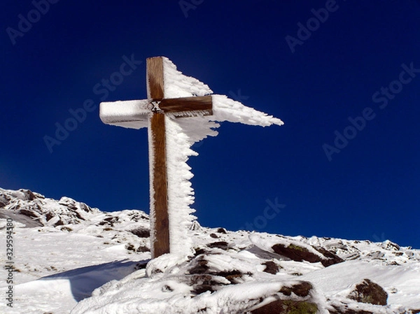 Obraz OLYMPUS DIGITAL CAMERA