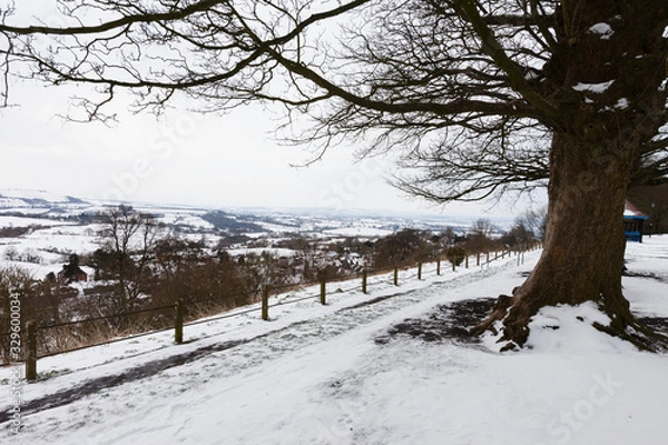 Obraz Park Walk Overlooking Blackmore Vale