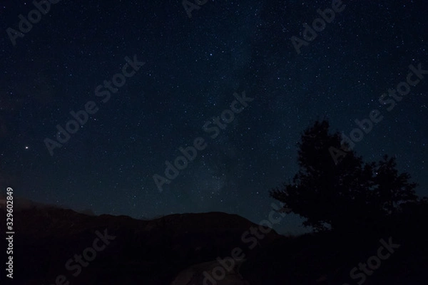 Fototapeta full moon and tree
