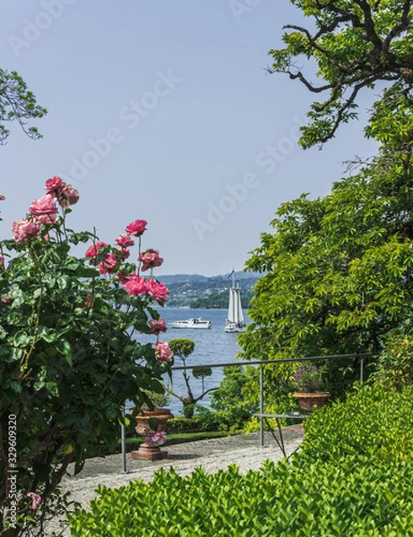 Obraz A path among beautiful plants on the shore of lake Garda. Italy. Soft focus, blurry background.