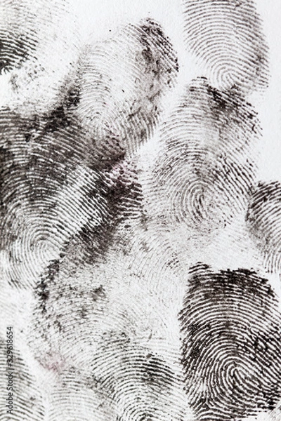 Obraz fingerprints on a white background
