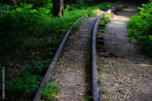 Obraz railway in the forest