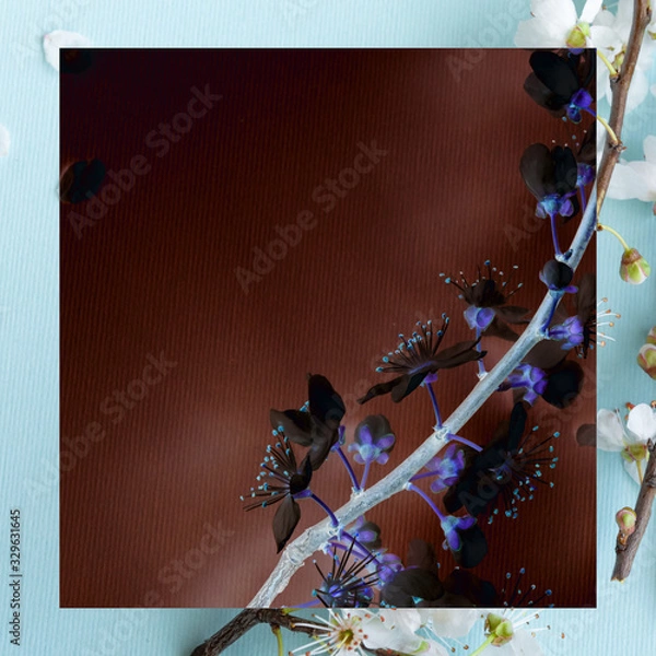 Fototapeta Blossom plum branch on a blue background with colorful frame above, space for tex