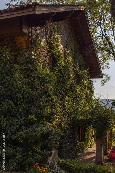 Obraz house in the forest