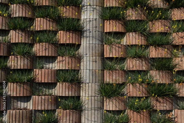 Obraz background of texture