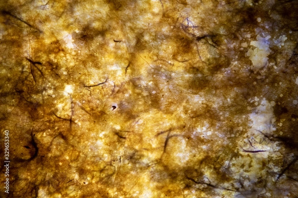 Obraz abstract background