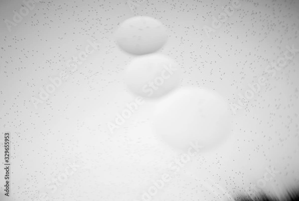 Obraz abstract white graphic