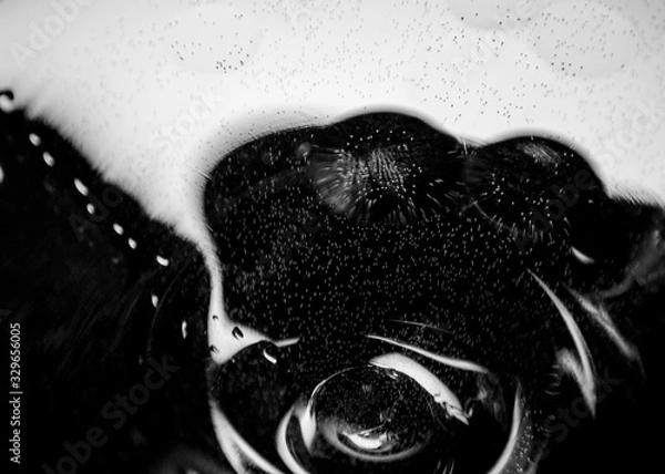 Obraz abstract background with copy space for your text