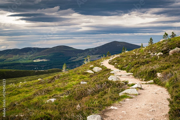 Obraz Hiking trail near Aviemore in Scottish Highlands with Cairngorms peaks on the horizon. Scenic summer landscape.