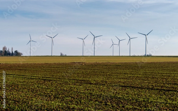 Fototapeta wind field