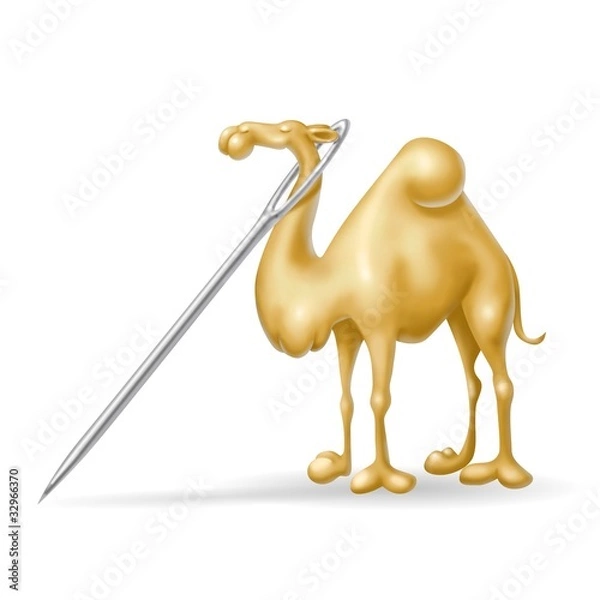 Obraz cammello nella cruna