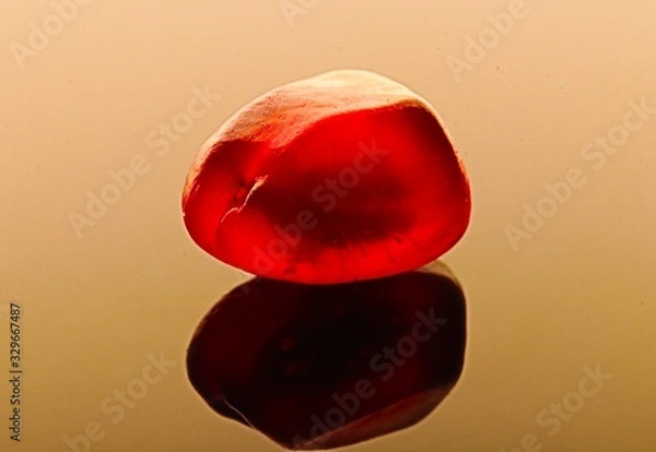 Obraz pomegranate seed
