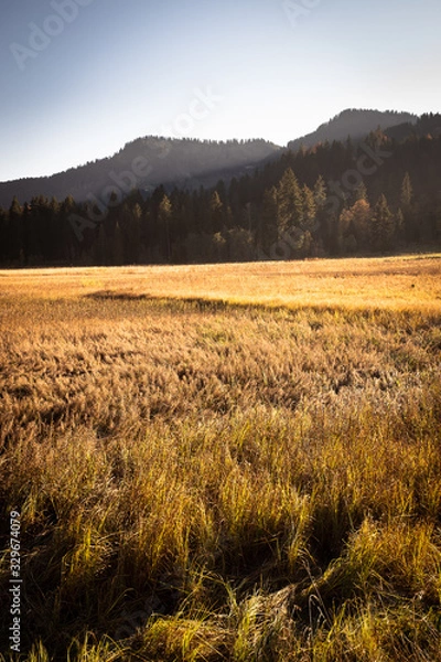 Fototapeta Autumnal landscape at the Spitzingsee in Bavaria