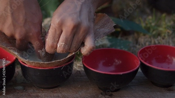Obraz local young black man preparing kava juice drink at a tropical island of Vanuatu in the south pacific ocean during the afternoon by squeezing it to small cups