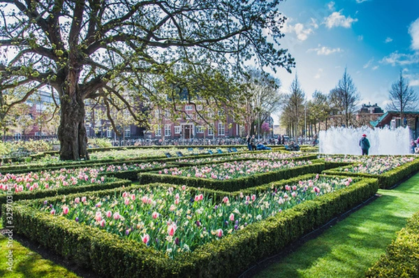 Fototapeta The Rijkmuseum and its gardens and its surroundings in Amsterdam