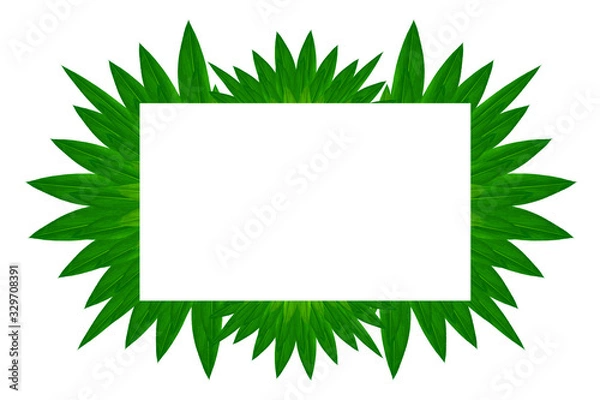 Obraz White frame on green leaf nature