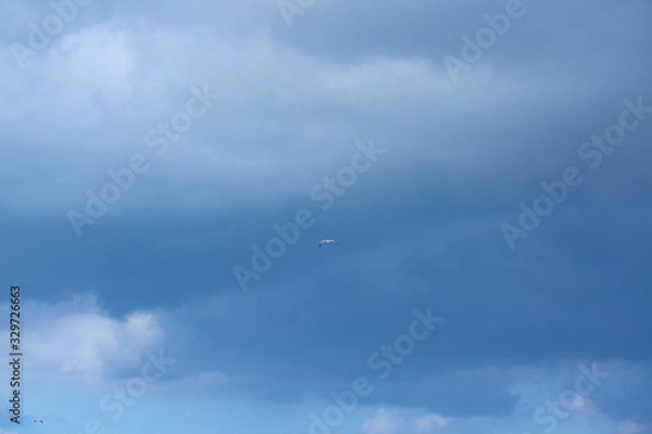 Fototapeta clouds in the sky
