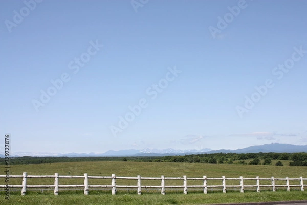 Fototapeta 広々とした青空と草原と白い柵