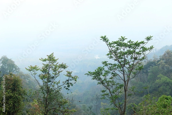 Fototapeta View of clouds and vastness of greenery