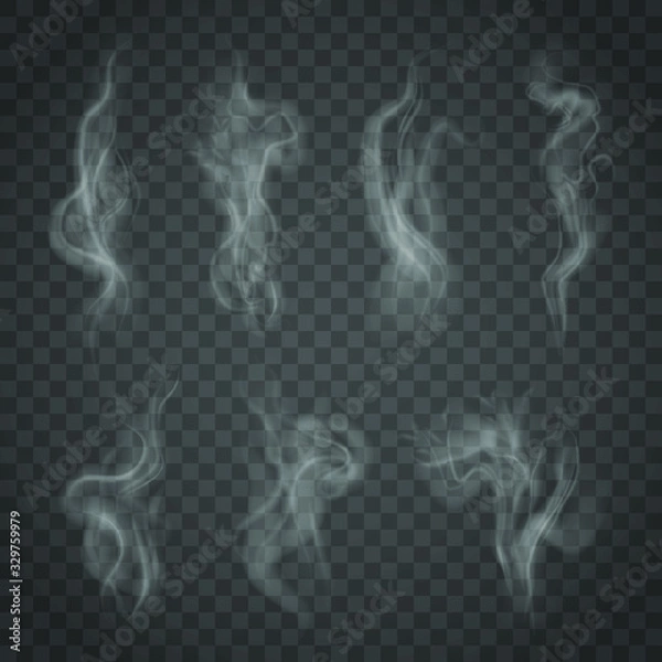 Fototapeta Set of isolated smoke on a transparent background. White steam from a cup of coffee or tea
