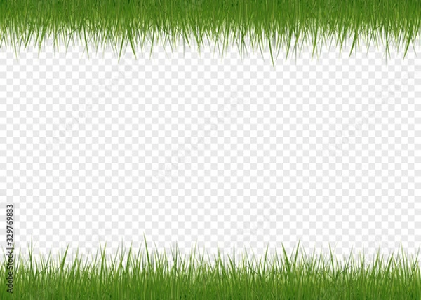 Obraz Realistic green grass