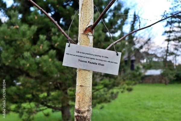 Fototapeta sign tree 
