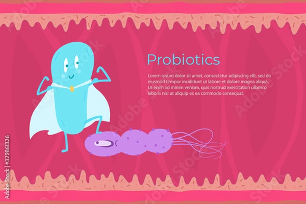 Fototapeta Probiotics pathogenic bacteria against the background of intestinal work. Vector illustration.