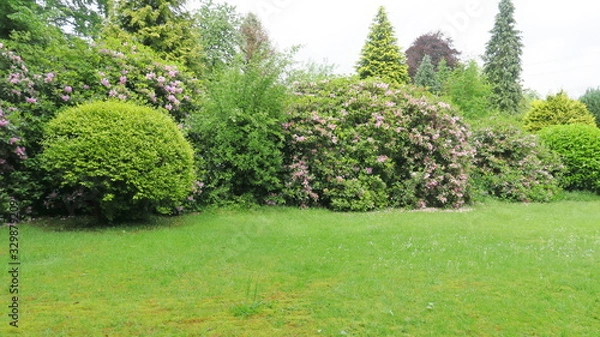 Obraz Sommerblüten 01