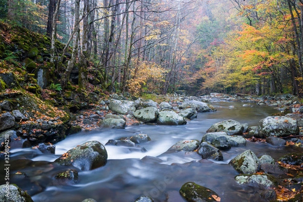 Obraz Autumn on the Middle Prong of the Little River, Great Smoky Mountains National Park, Tennessee.