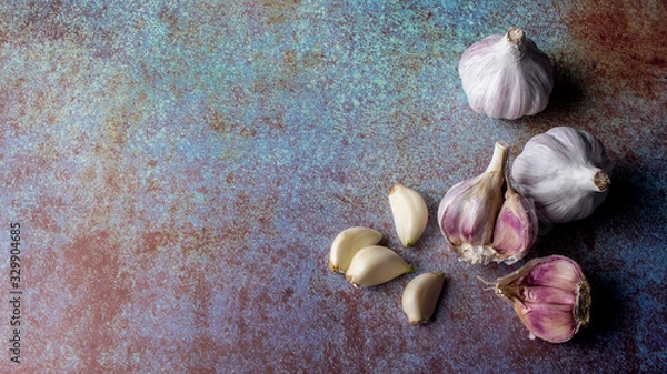 Obraz rocambole garlic