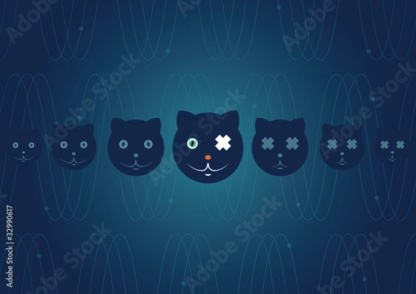 Obraz Kot Schrödingera