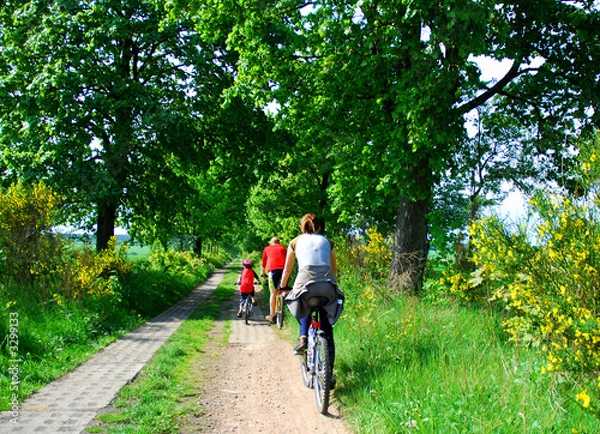 Obraz family cycling