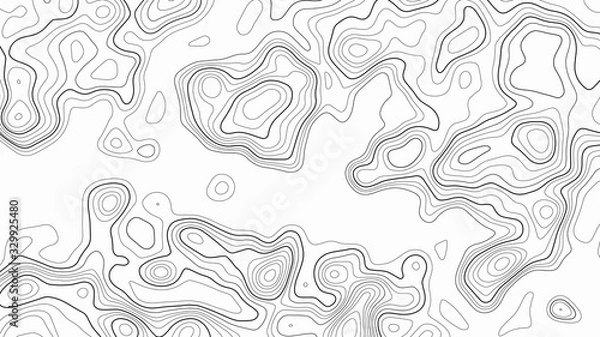 Obraz Topographic contour map on white background. Vector grid map.