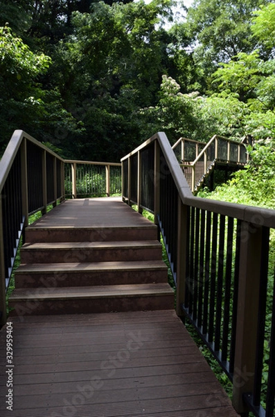 Fototapeta 散策路