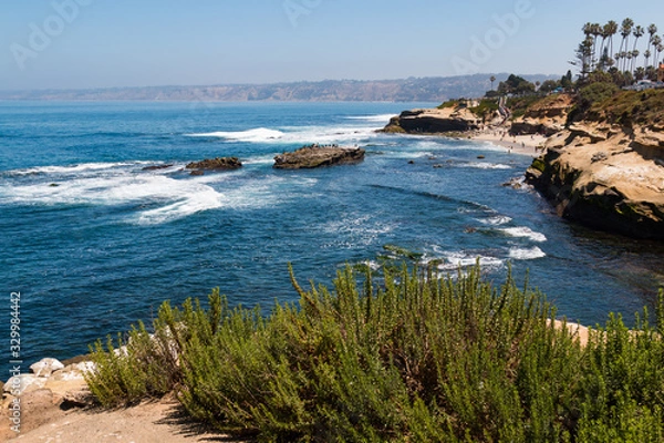 Obraz A view of people at La Jolla Cove from atop a cliff in La Jolla, California in San Diego County. 